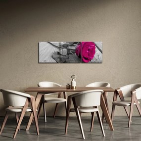 Obraz - Ružová ruža (s hodinami) (90x30 cm)