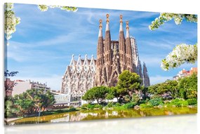 Obraz katedrála v Barcelone Varianta: 120x80