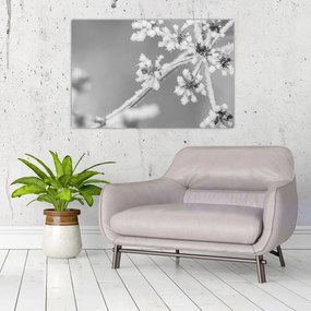 Obraz - Zamrznutá rastlina (90x60 cm)