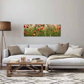 Obraz vlčích makov (s hodinami) (90x30 cm)