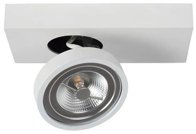 Lucide Lucide 09920/10/31 - LED Stmievateľné bodové svietidlo NENAD AR111 GU10/10W/18V LC2437