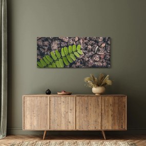 Obraz zelenej rastliny (120x50 cm)