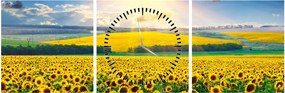 Obraz - Pole slnečníc (s hodinami) (90x30 cm)