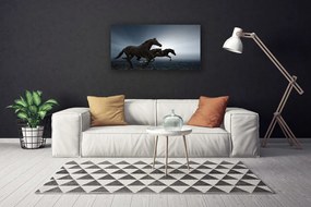 Obraz na plátne Kone zvieratá 100x50 cm