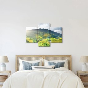 Obraz plantáže (90x60 cm)