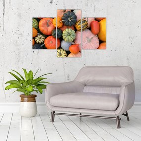 Obraz - Tekvica (90x60 cm)