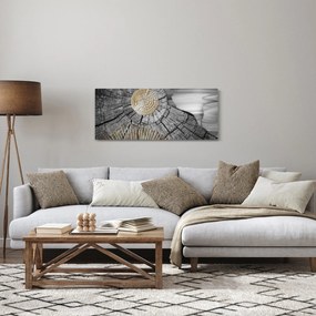 Obraz - Kmeň stromu v koláži (120x50 cm)