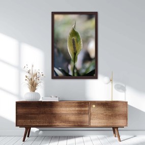 Gario Plagát Zaujímavá exotická rastlina Farba rámu: Bez rámu, Rozmery: 40 x 60 cm