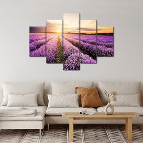 Obraz - Východ slnka v levanduľovom poli (150x105 cm)