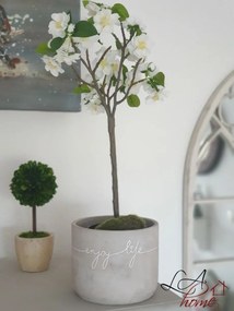 Buxus na kmienku v kvetináči - Ø10 * 24 cm