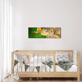 Obraz - Jašter (s hodinami) (90x30 cm)