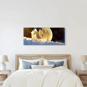 Obraz zamrznutej bubliny (120x50 cm)