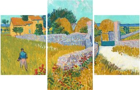 Obraz - Vincent van Gogh, Farmhouse in Provence, reprodukcia (90x60 cm)