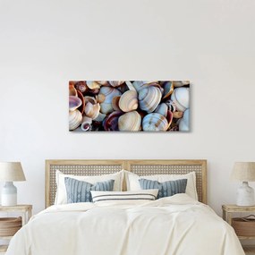 Obraz mušlí (120x50 cm)