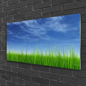 Obraz na skle Nebo tráva príroda 120x60 cm