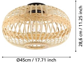 Eglo 43723 - Stropné svietidlo AMSFIELD 1xE27/40W/230V