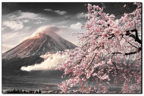 Obraz na plátne - Hora Fuji a čerešňové kvety na jar 1266QA (120x80 cm)