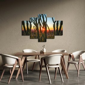 Obraz - Rastliny (150x105 cm)