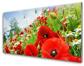 Nástenný panel  Kvety príroda 100x50 cm
