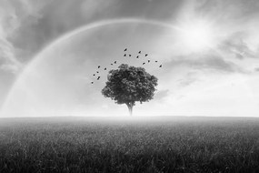 Samolepiaca tapeta magický strom pod dúhou v čiernobielom prevedení