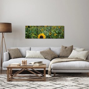 Obraz - Slnečnicové pole II. (s hodinami) (90x30 cm)