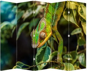 Paraván - Chameleon (210x170 cm)
