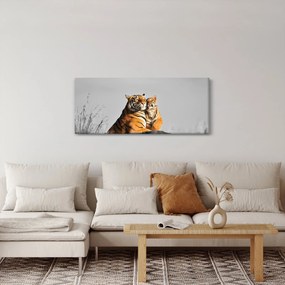 Obraz - Tigrice a jej mláďa, čiernobiely variant (120x50 cm)
