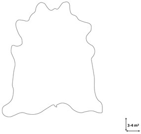 Koberec z hovädzej kože 3-4 m² hnedá/biela NASQU Beliani