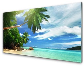 Skleneny obraz Palma pláž more krajina 125x50 cm