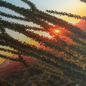 Obraz - Rastliny (120x50 cm)