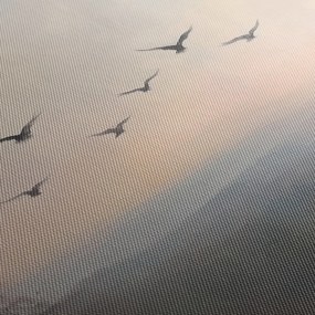Obraz - Hejno vtákov (90x60 cm)