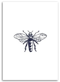 Obraz na plátně Vosí hmyz - 70x100 cm