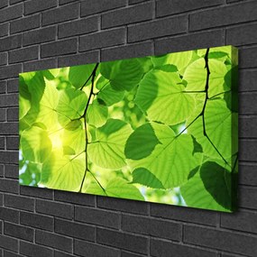 Obraz Canvas Listy príroda rastlina 120x60 cm