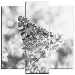 Obraz na plátne - Motýľ na levanduľe - štvorec 3221QC (105x105 cm)