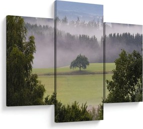 Obraz lúky so stromom (90x60 cm)