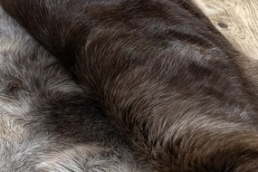 Koberec RENIFER POK018 hnedý / sivý