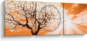 Oranžový obraz stromu (s hodinami) (90x30 cm)