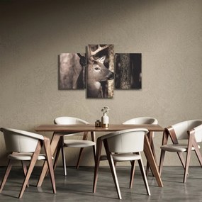 Obraz - Jeleň v lese (90x60 cm)