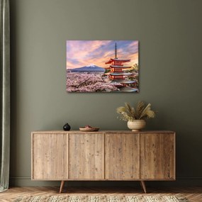 Obraz - Fuji (70x50 cm)