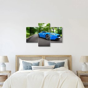 Obraz - Závodné auto (90x60 cm)