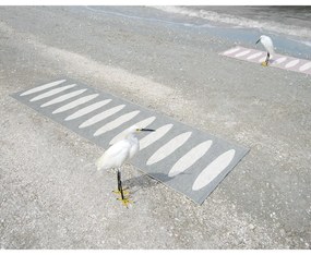 Sivý vnútorný a vonkajší behúň 70x300 cm Ella Warm Grey – Pappelina