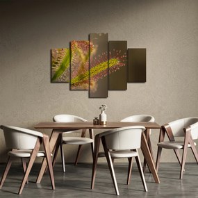 Obraz rastliny (150x105 cm)