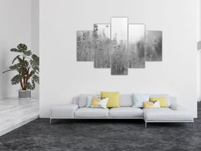 Obraz - Levanduľa (150x105 cm)