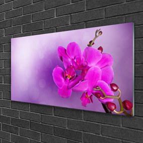 Skleneny obraz Kvety plátky orchidea 125x50 cm