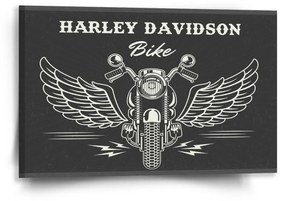 Sablio Obraz Harley-Davidson S krídlami - 60x40 cm