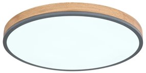 Globo 416080WD4R-CCT - LED Stmiev. stropné svietidlo DORO LED/40W/230V 2700-6500K + DO