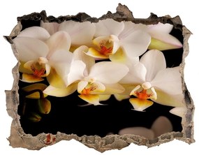 Nálepka fototapeta 3D výhled Orchidea nd-k-95410450