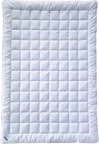 XXXLutz LETNÁ PRIKRÝVKA, 155/220 cm, bambus, duté vlákno Billerbeck - Prikrývky & vankúše - 003279054402