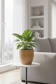 Interiérový kvetináč MASTELLO, ratan, 24x24 cm, natur