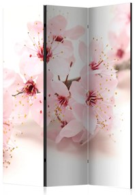 Artgeist Paraván - Cherry Blossom [Room Dividers]